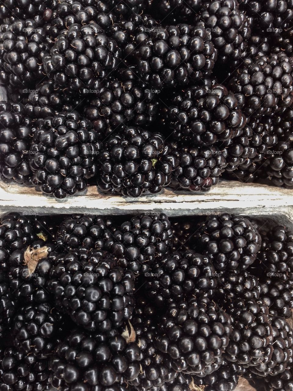 Extreme close-up of blackberries