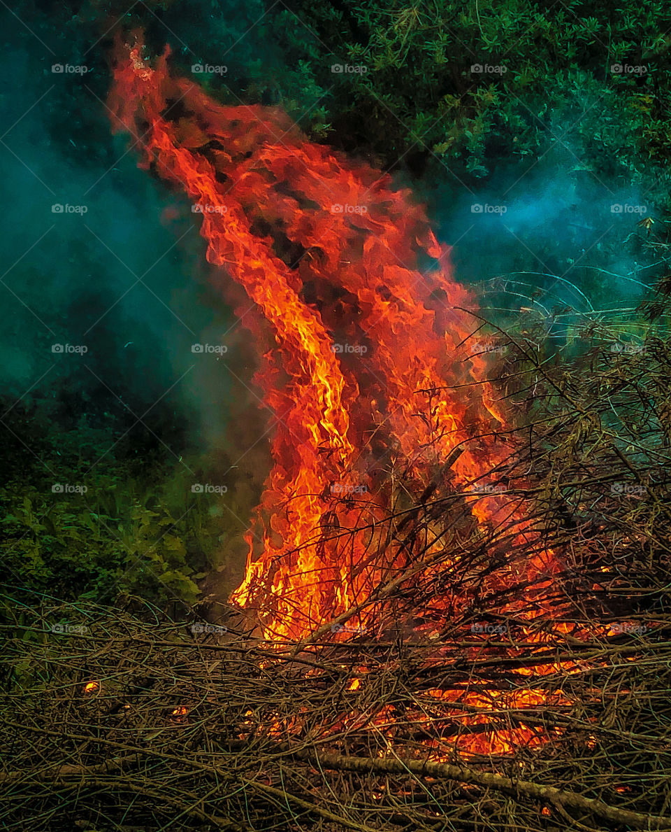 A large orange flame from a garden fire curls leftwards and contrasts starkly with the green background 