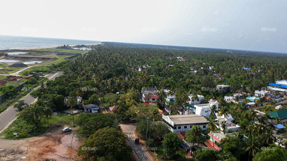 Greenery view 