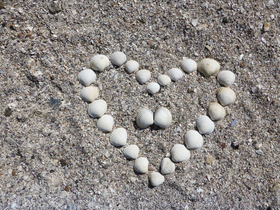 Heart made of seashells