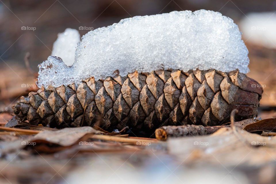 A snow cone. 