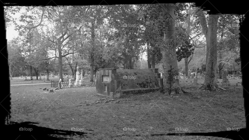 A tomb amongst the trees.