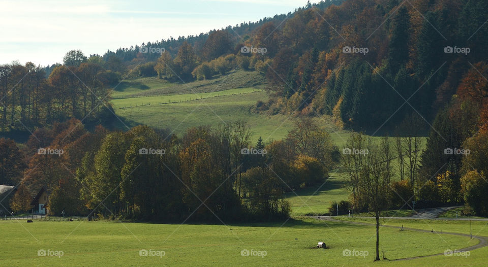 Promenade dans le Doubs