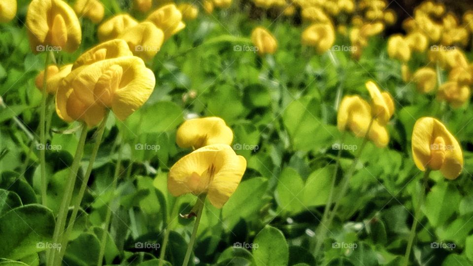 I love spring anywhere, but if I could choose I would always greet it in a garden

~Ruth Stout