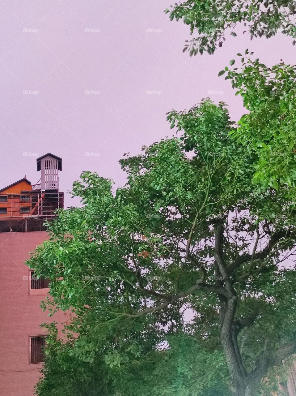 dove house in the night