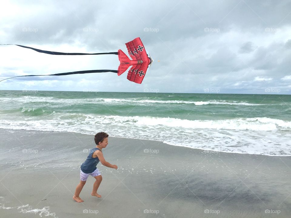 Red kite 