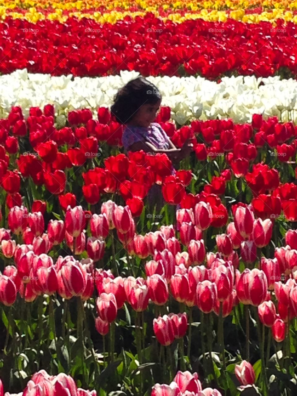 Girl in tulip field