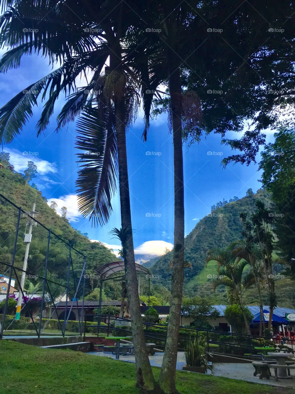 Vista hoy del majestuoso nevado del Tolima en el cañón del combeima Colombia 