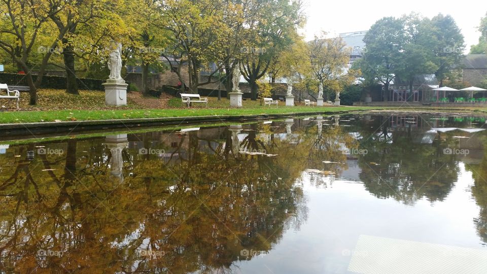 Water, Tree, Pool, Park, Reflection