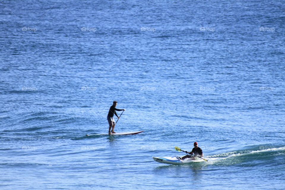 Paddle Boarders