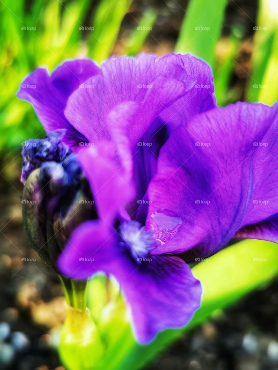 Forest day outdoor nature greens wild forest greens sky clouds moody