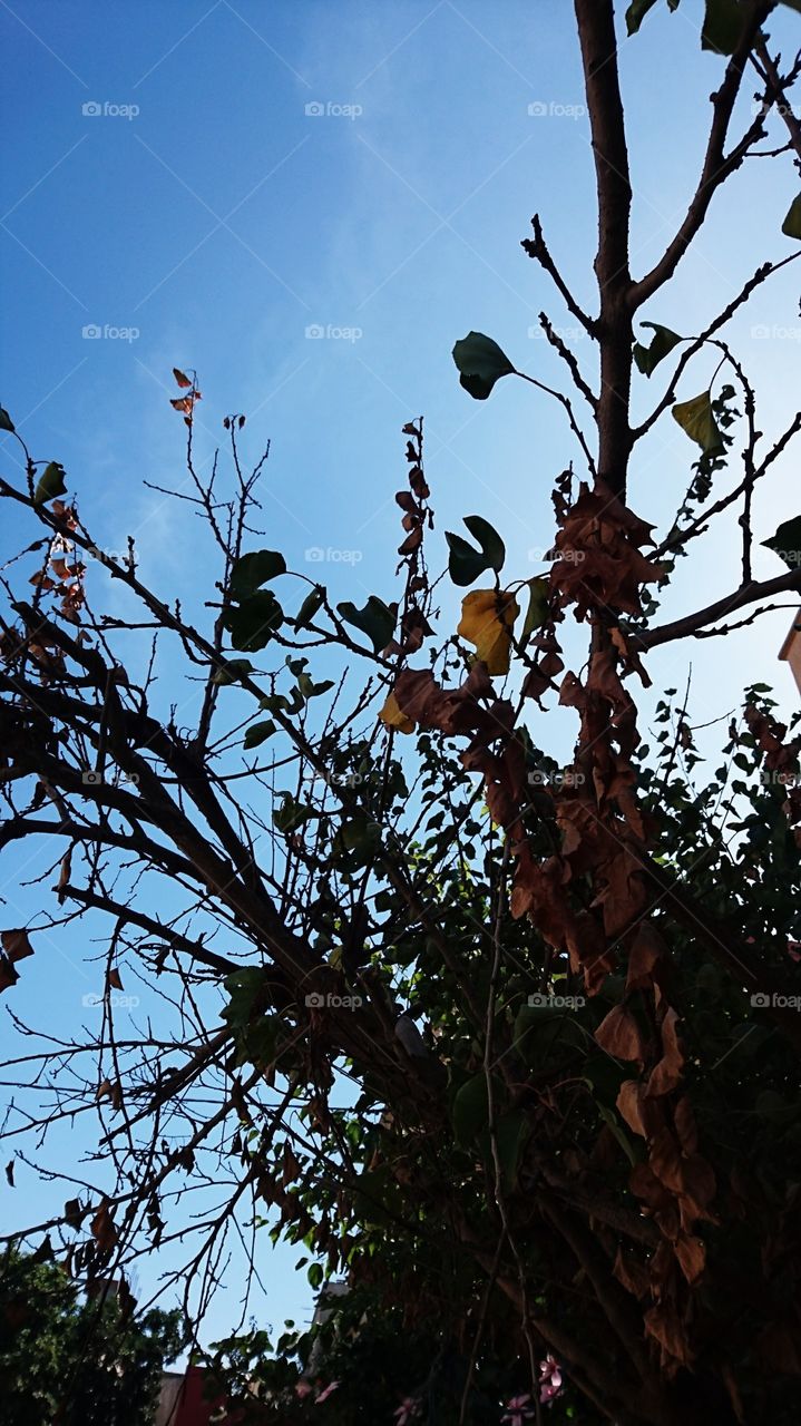 Autumn is approaching