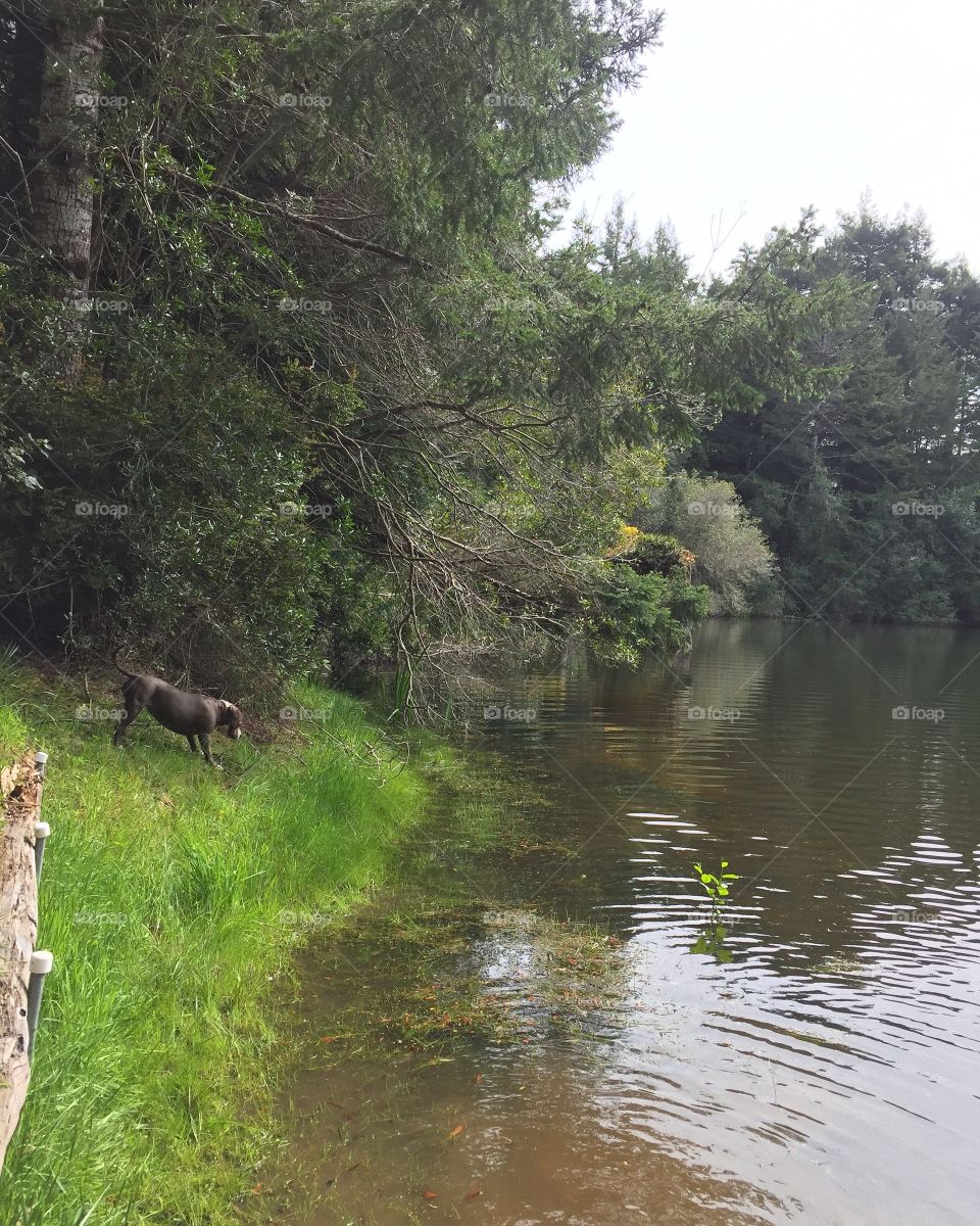 Aries is always on an adventure