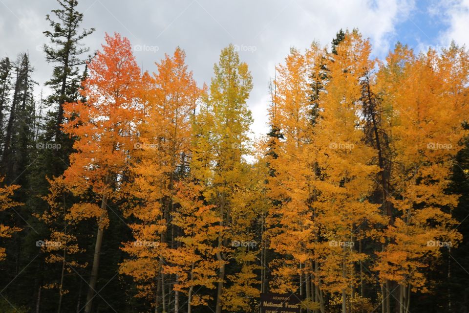 Fall time in Colorado