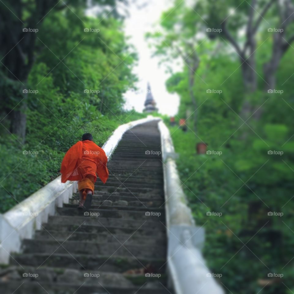 Young novice on his way to the temple
