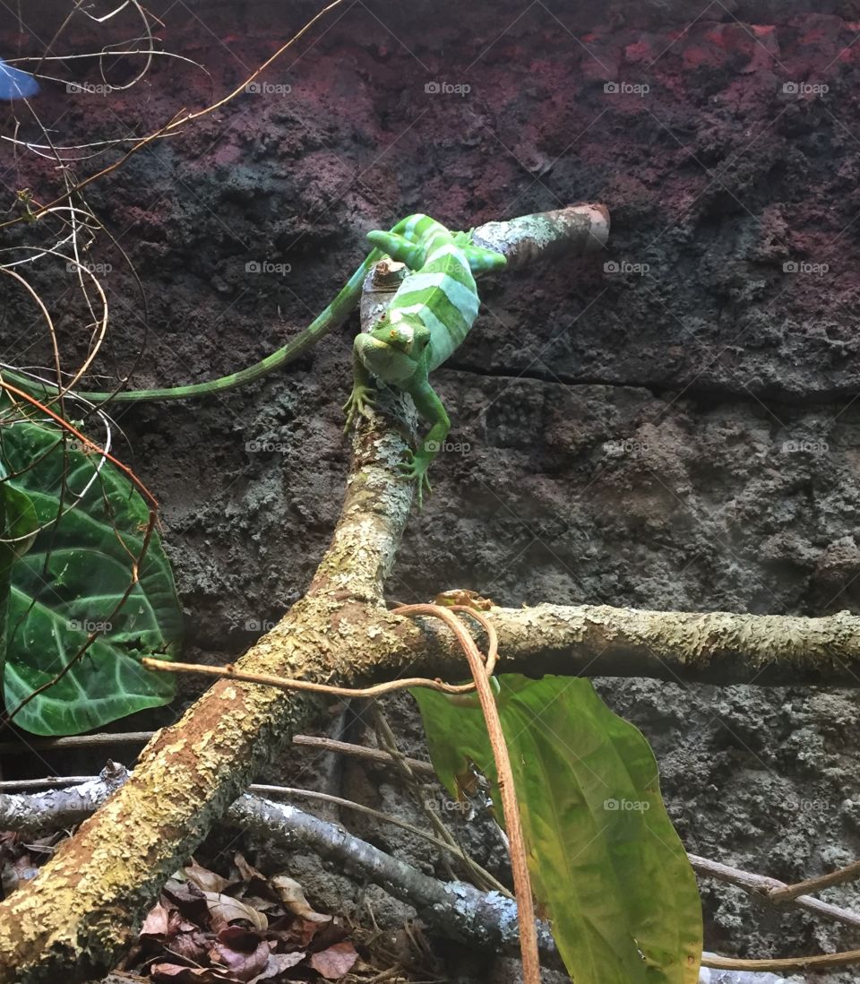 what are you looking at? 