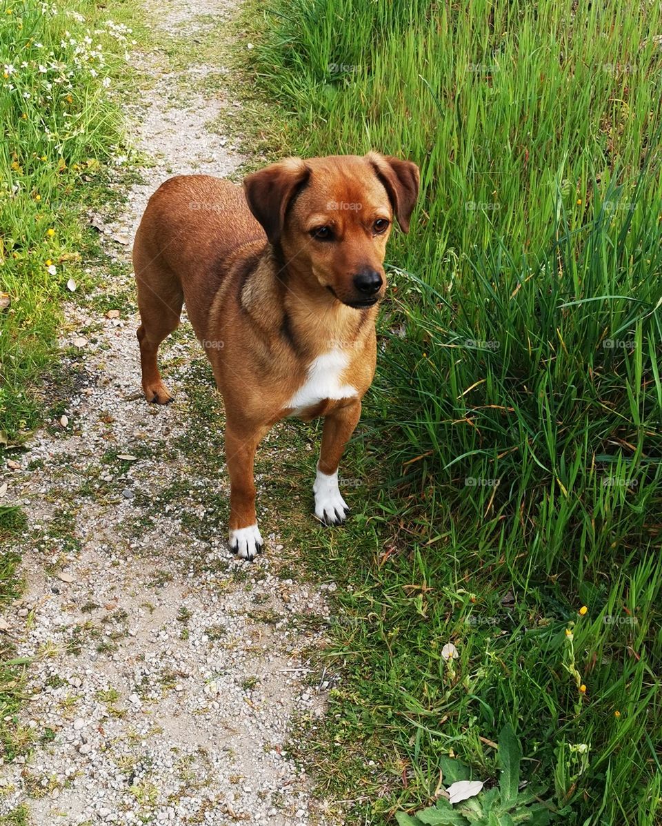 #Mylove ❤️❤️🐶