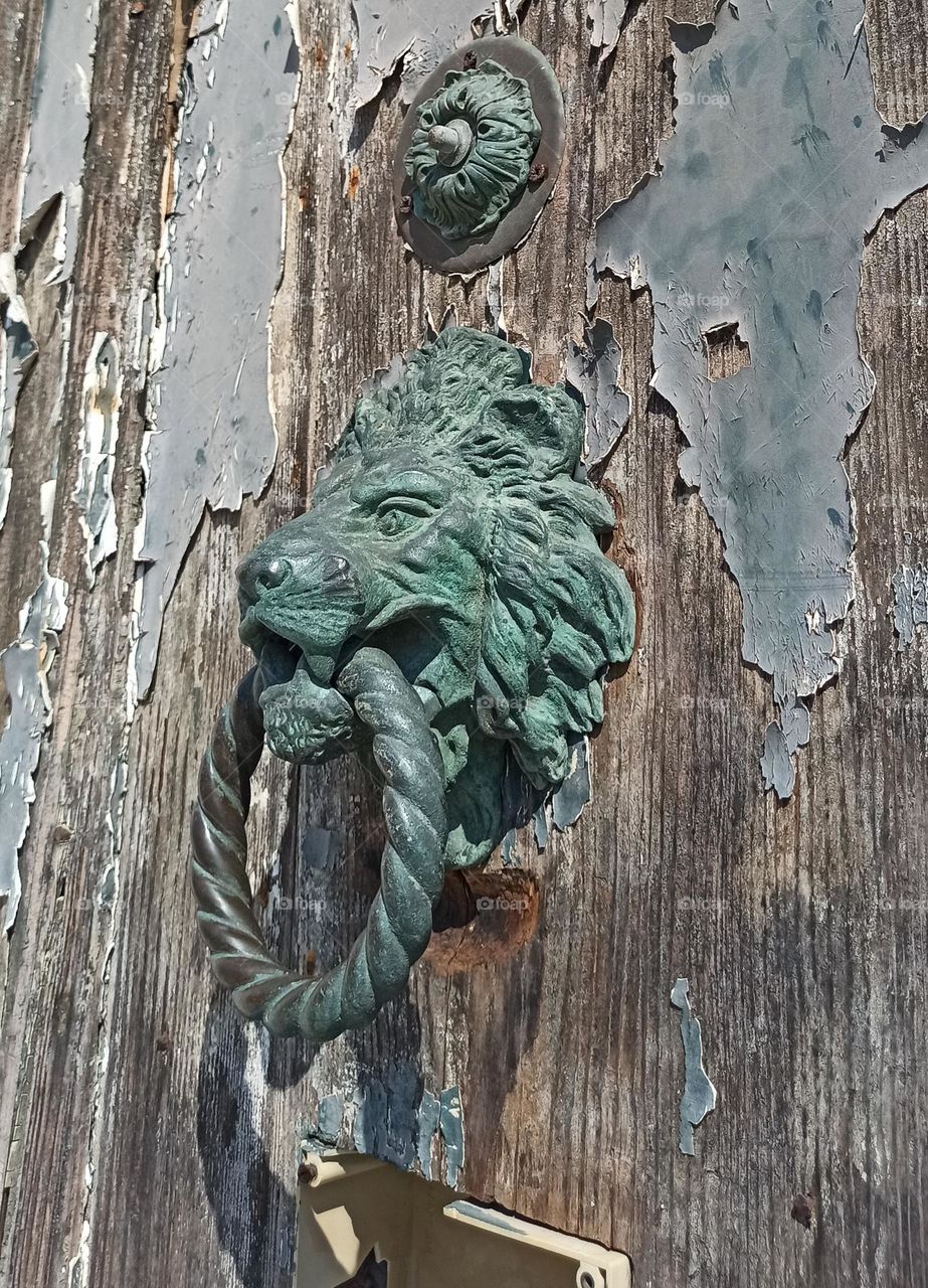 Door knobs. Unusual doorknobs. 
lion door handle