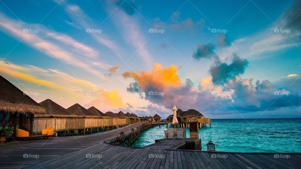 Maldives  ......