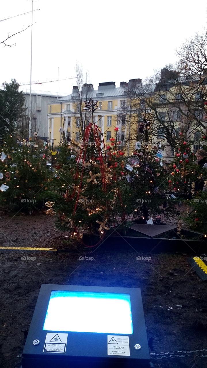Exhibition of Christmas trees in Helsinki