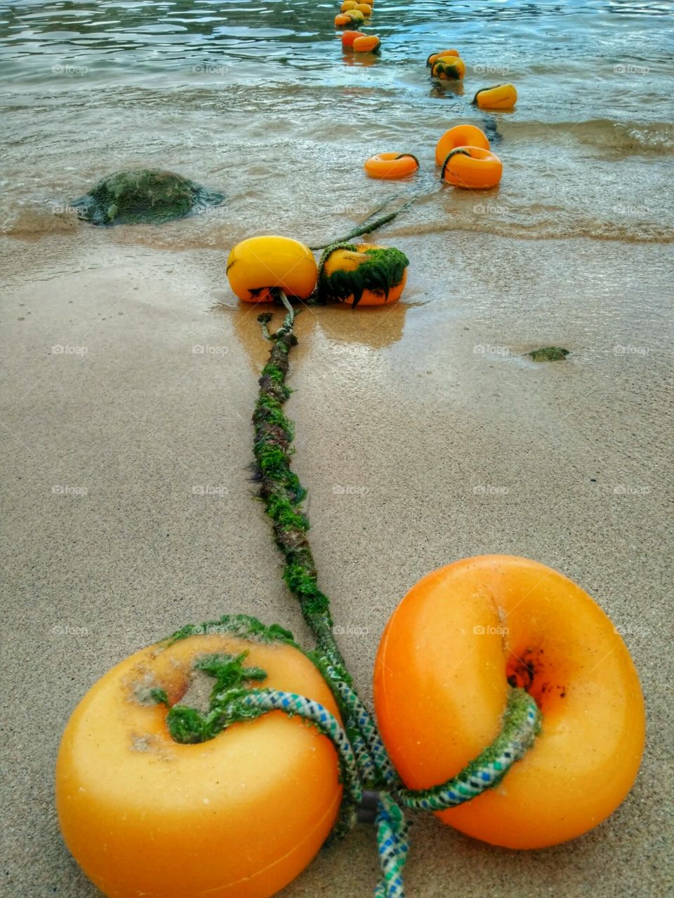Orange buoys by the sea
