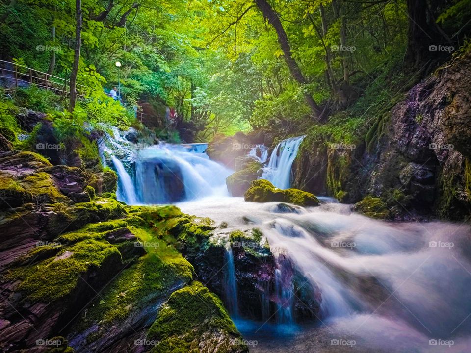 Drini i Bardhë, Kosovo