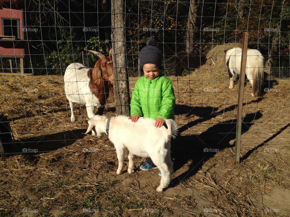 Making Friends with a Baby Goat