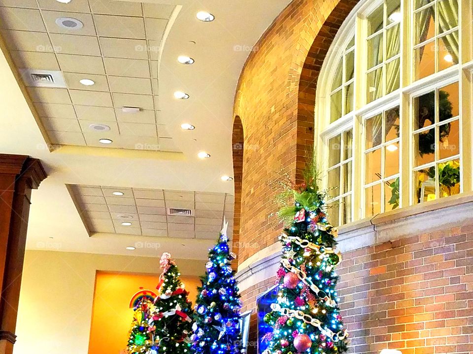 Christmas tree display 