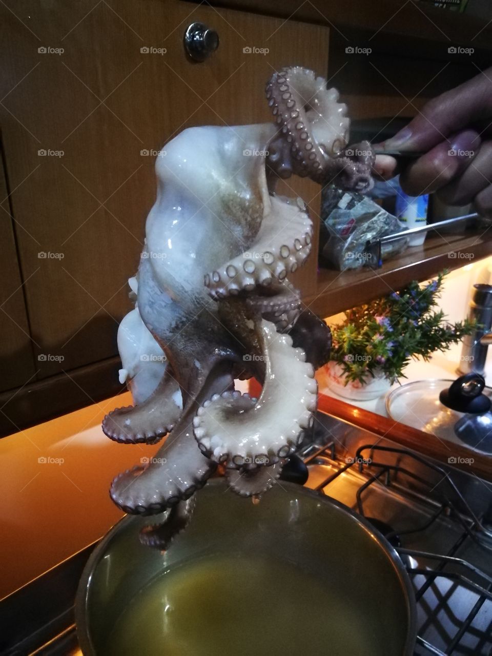 Octopus dinner