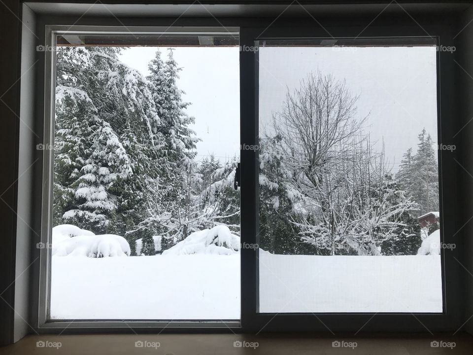 Window, Snow, Winter, Landscape, Wood