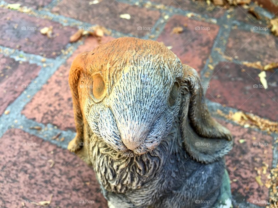 Little cute rabbit sculpture 