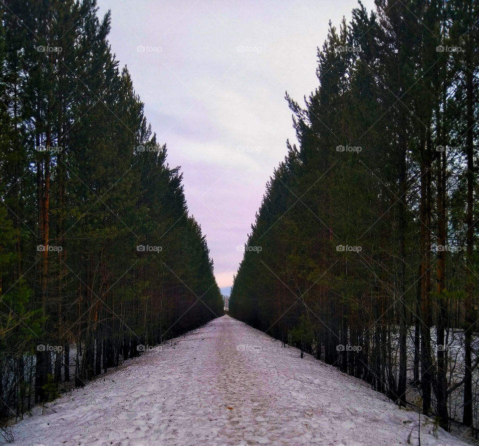 Заброшенная железная дорога
Abandoned railway
