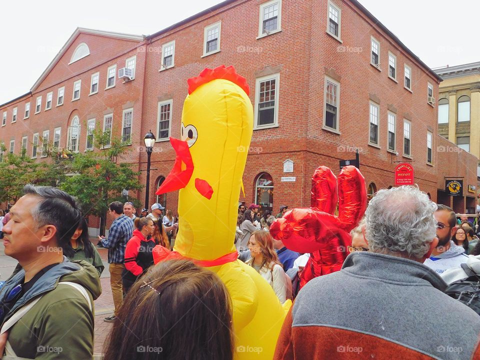 Random chicken walking around town 