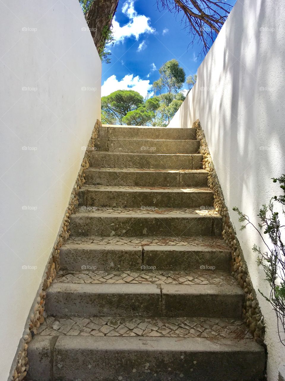 Stairs to the sky 