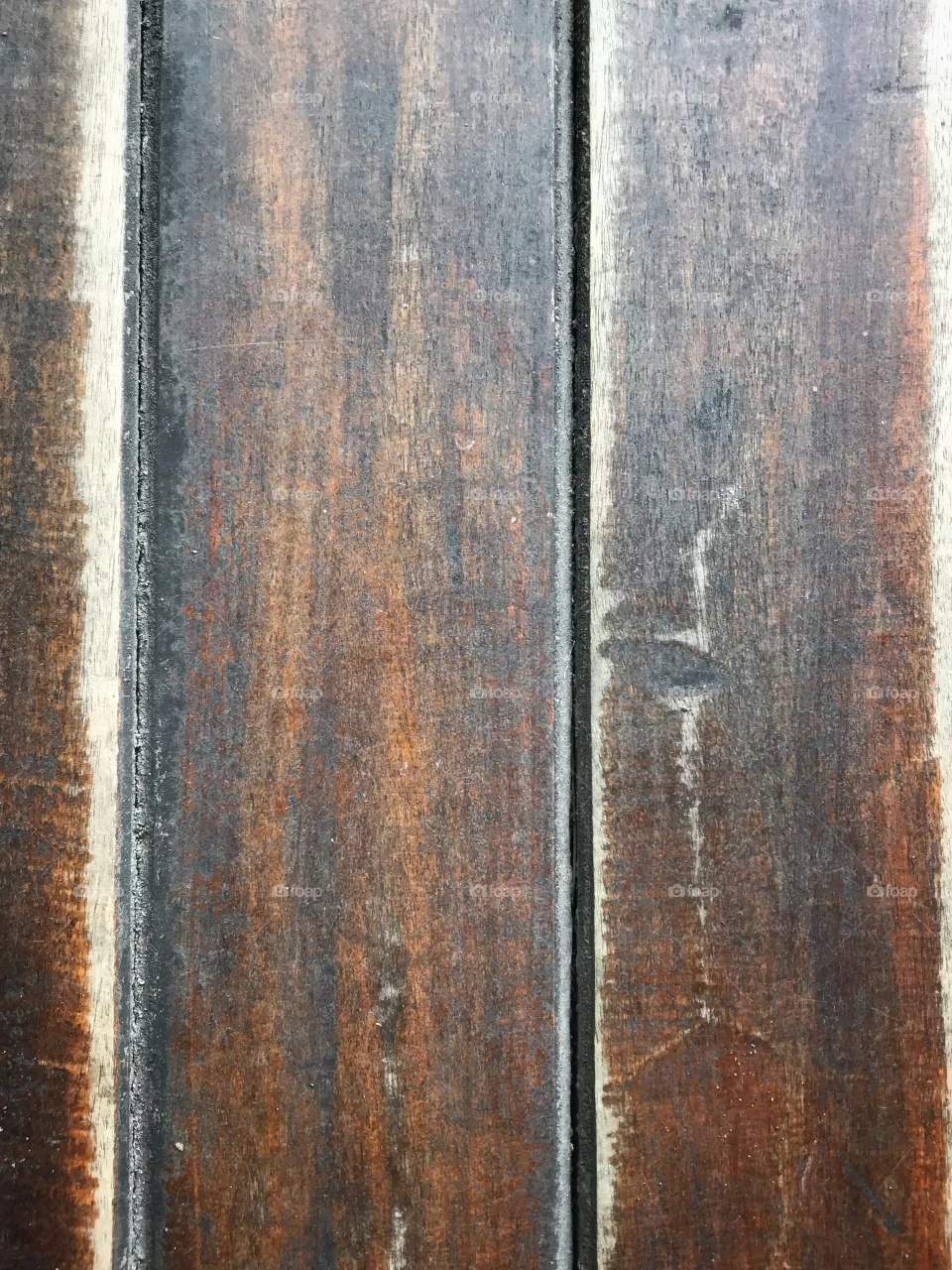 Woods