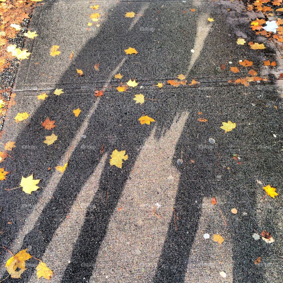 Fall leaves holding hands