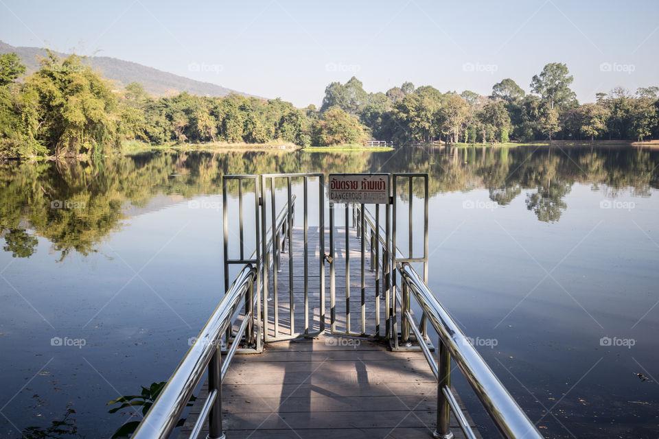 Bridge to the pond with fence