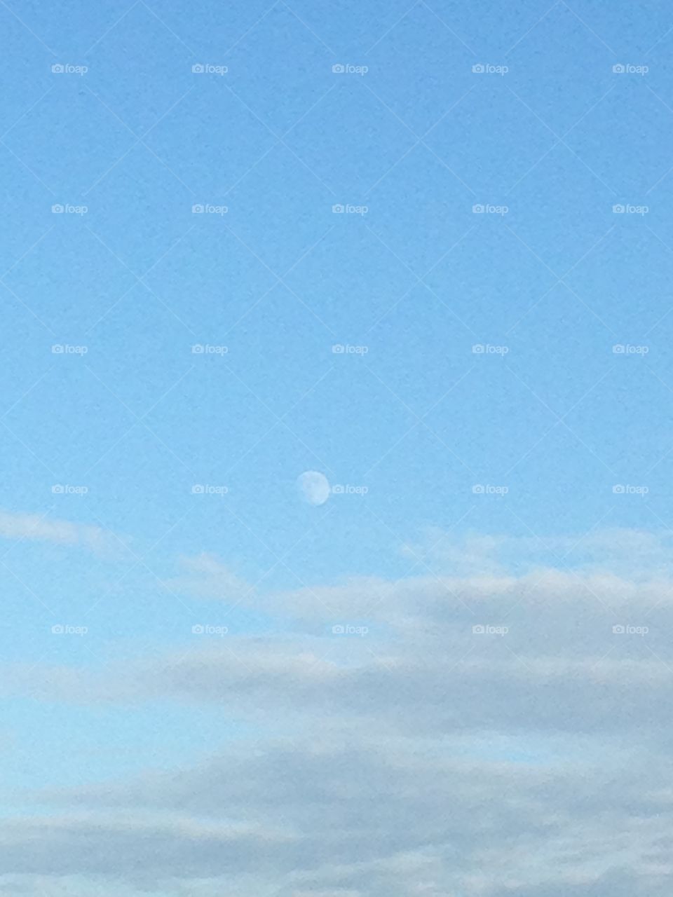 Moon in the sky 