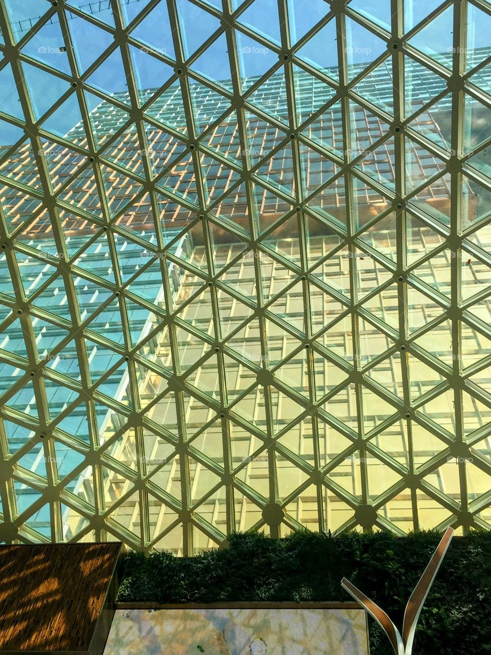 See through the window 