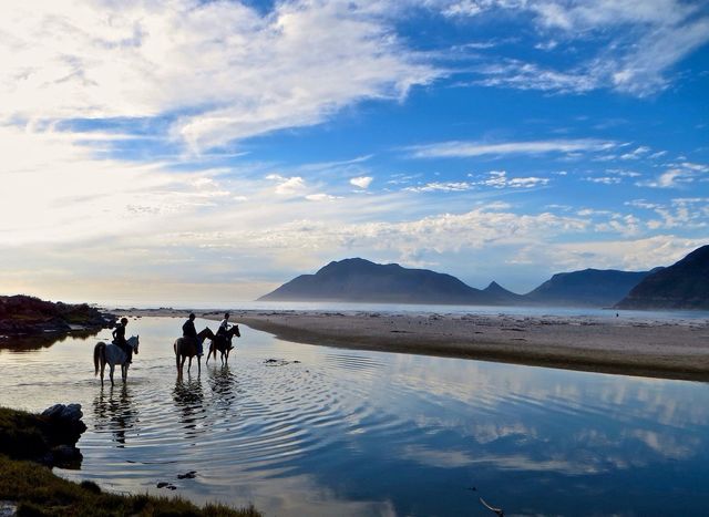 Horseback 