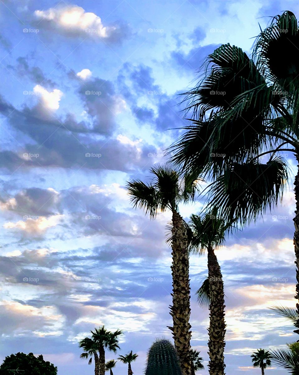Evening sky over Yuma AZ