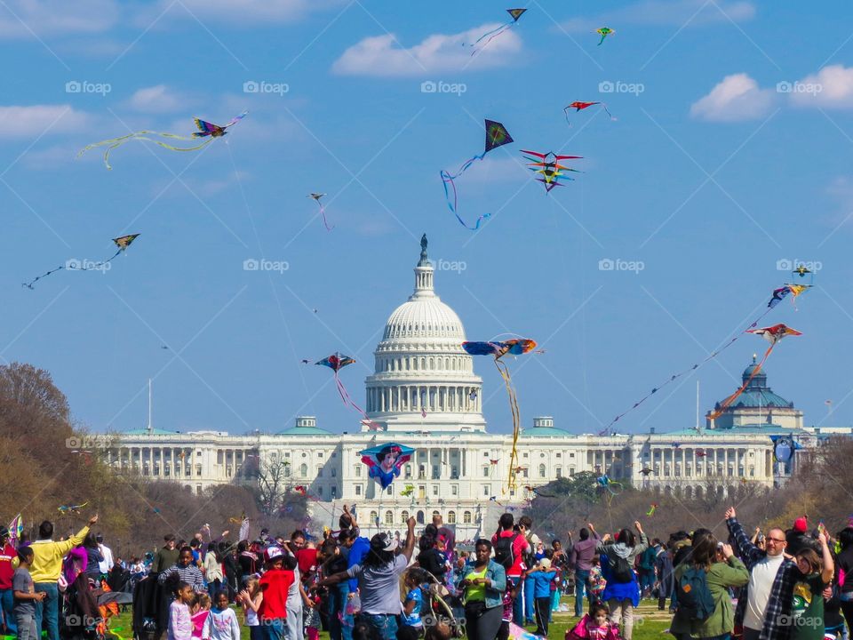 Kite festival at the Capitol in the National Mall in Washington, DC