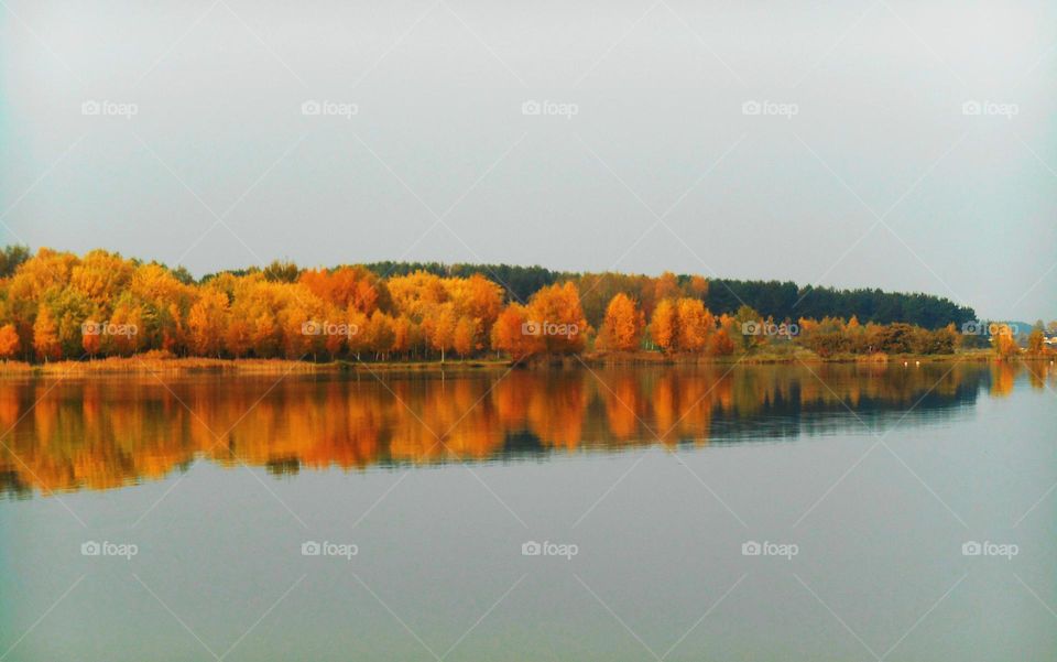 Reflection of autumn trees on lake