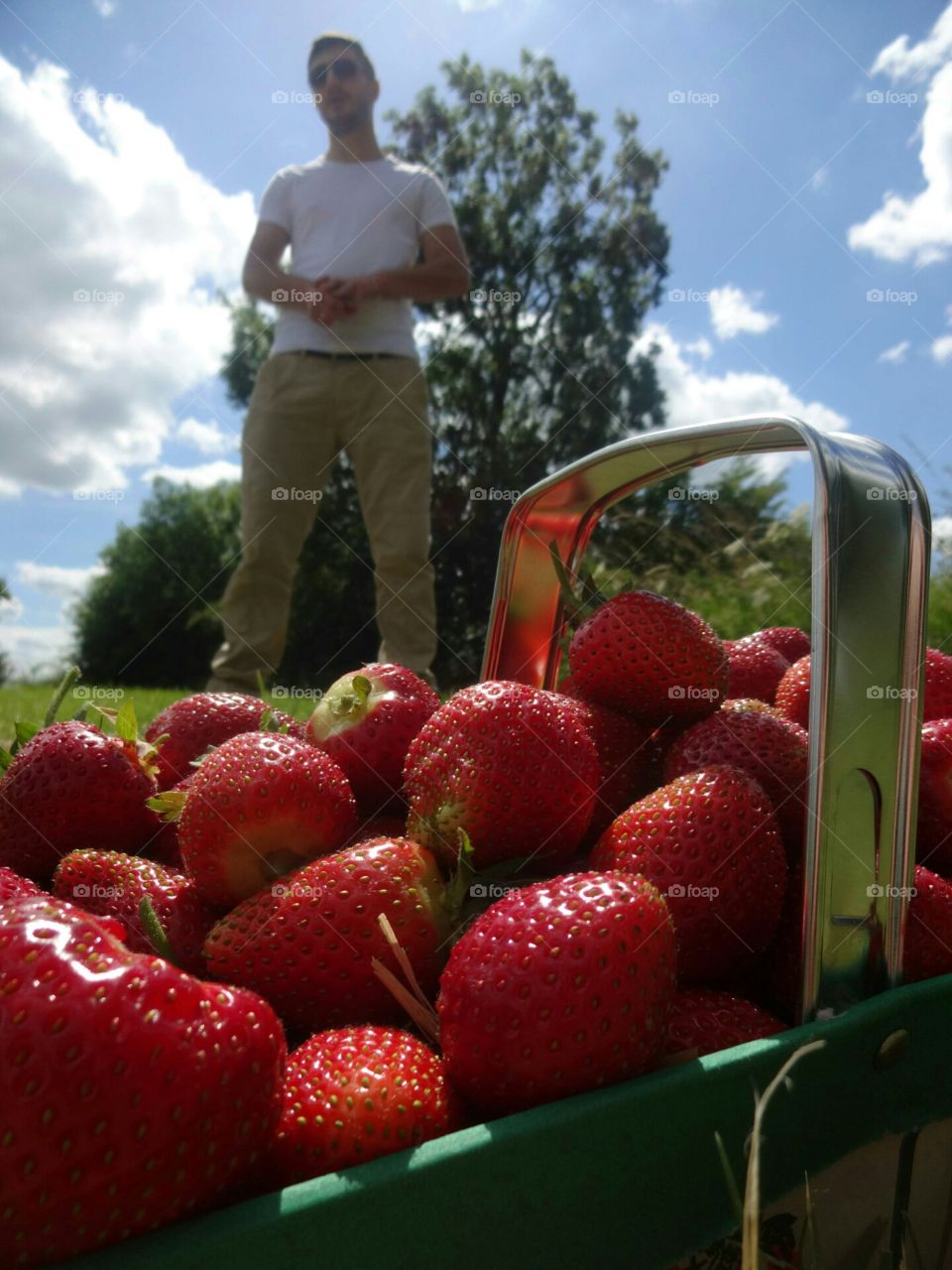 strawberry time