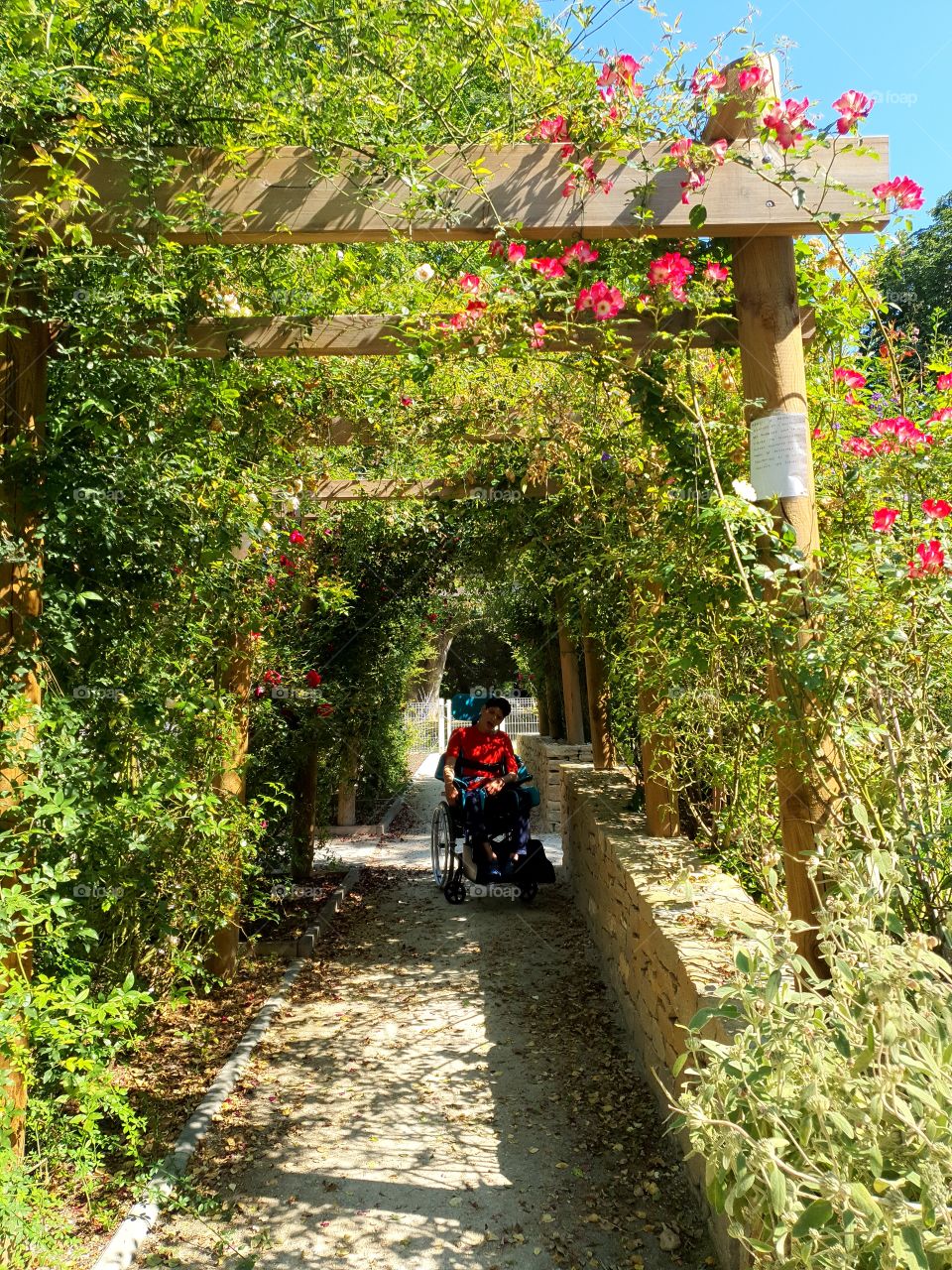 la beauté des jardins