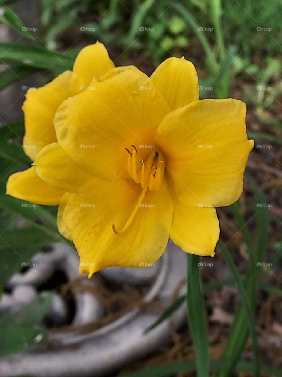 hope everyone out there is having lots of fun but also being safe.  watch them kiddos!