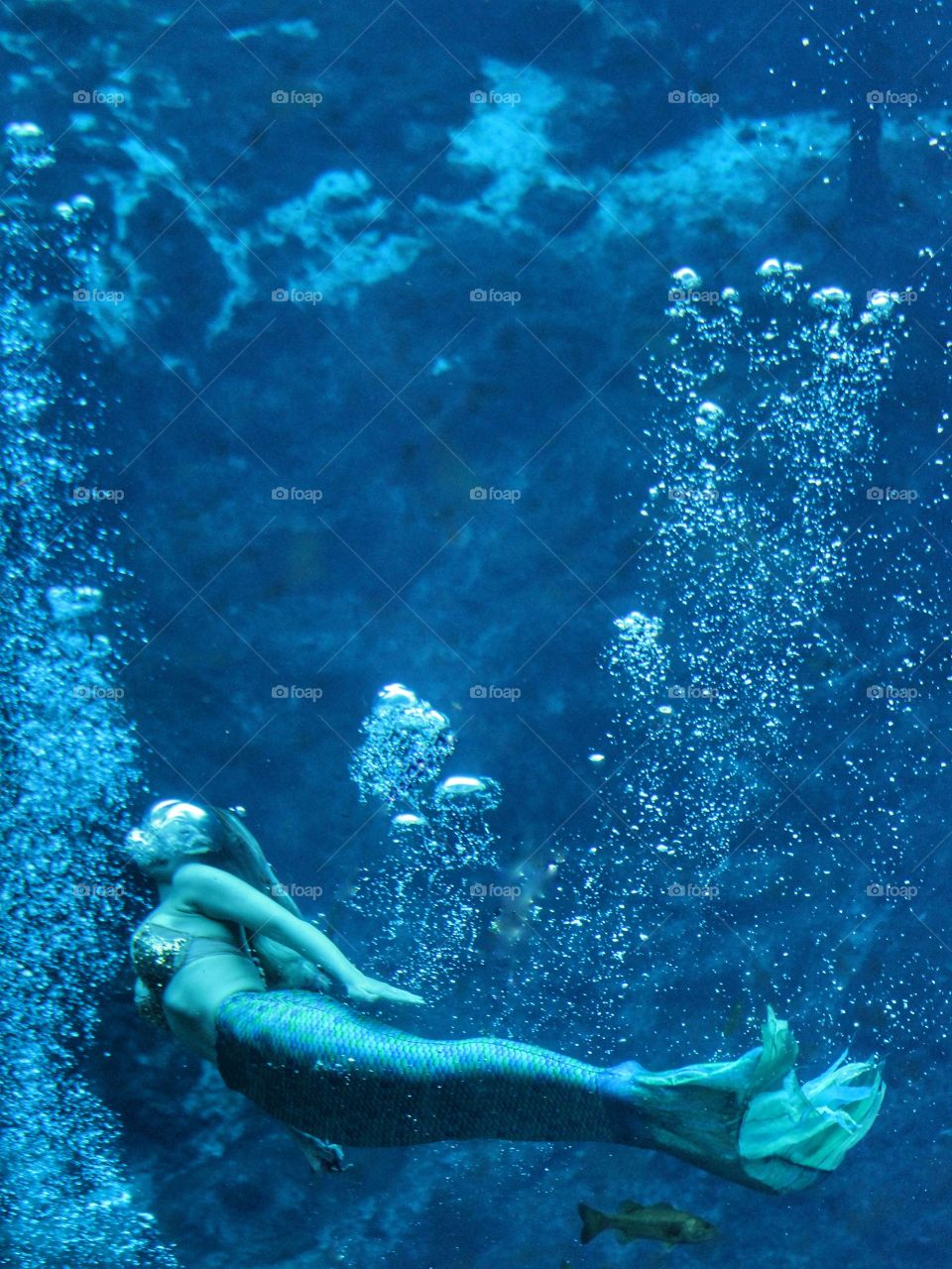 Mermaid Swimming