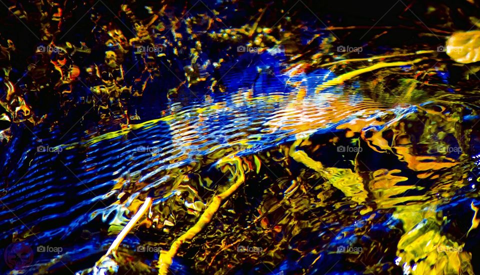 Autumn stream with vegetation . Autumn stream with vegetation 