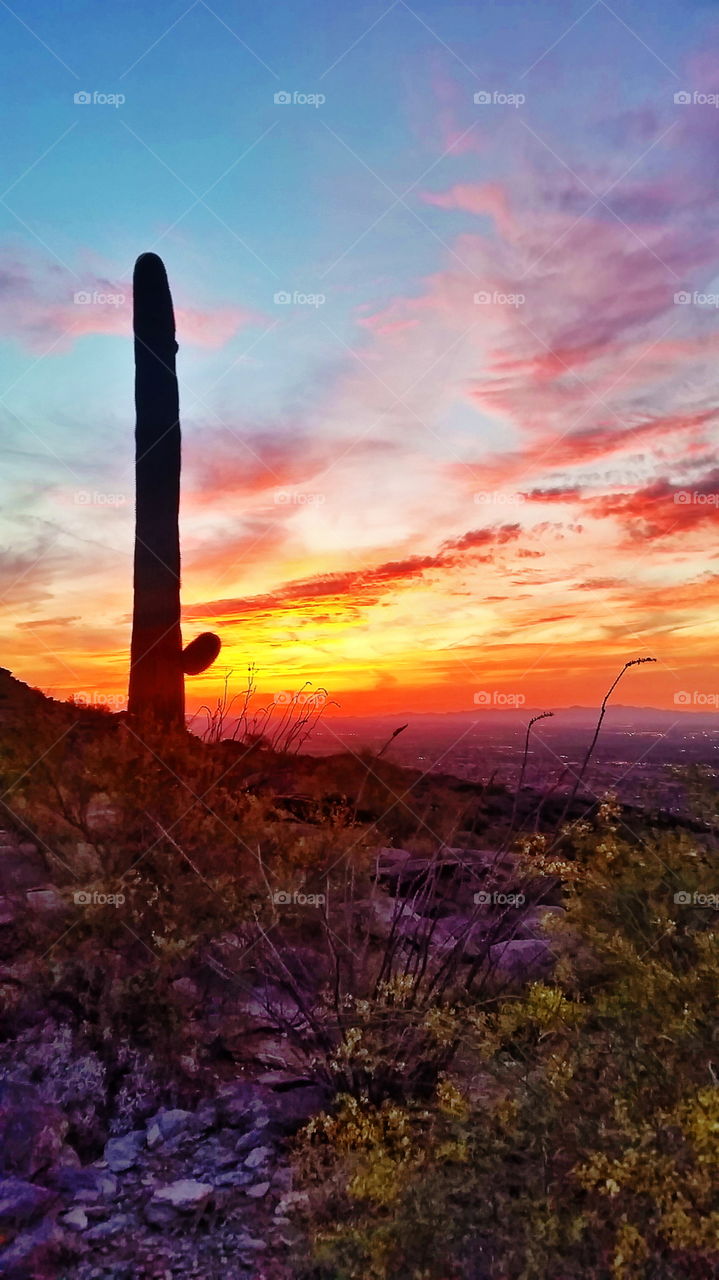 Arizona Sunset