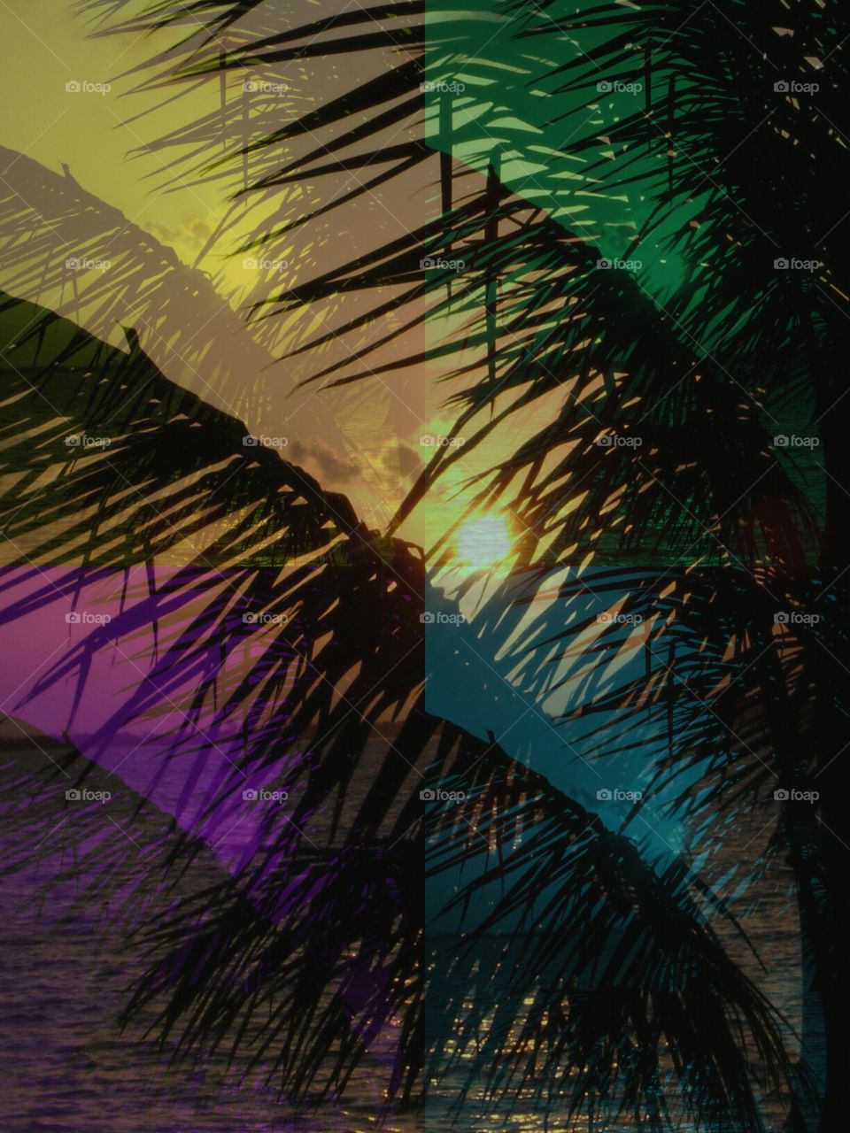 abstract palm. abstract